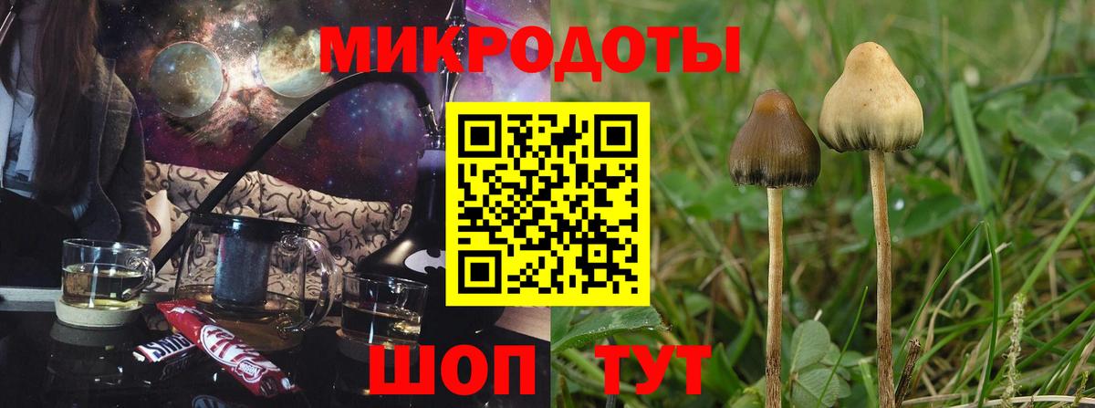 Галлюциногенные грибы GOLDEN TEACHER  Вход с VPN  купить   Урус-Мартан 