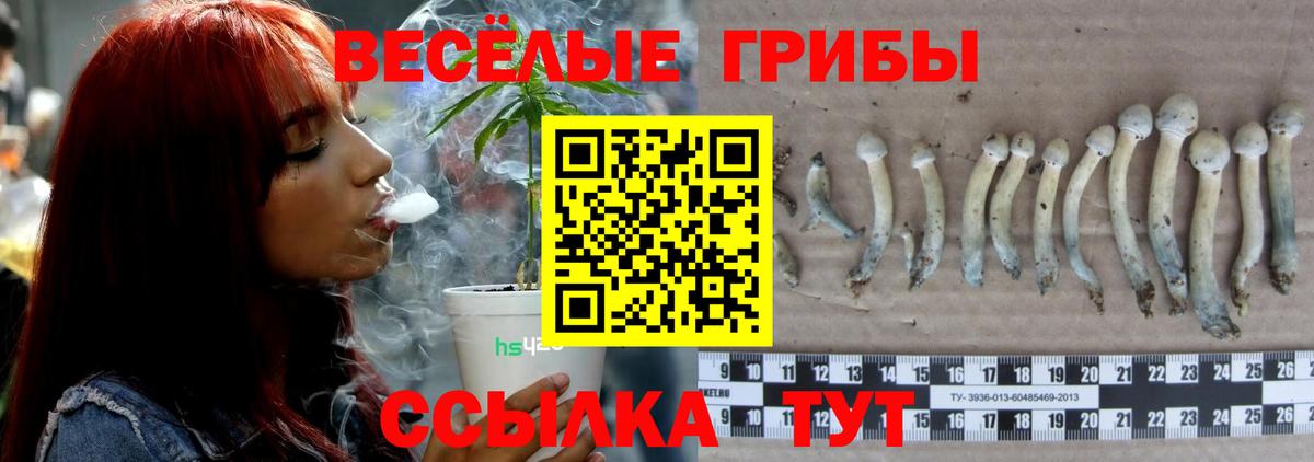 Псилоцибиновые грибы GOLDEN TEACHER Урус-Мартан